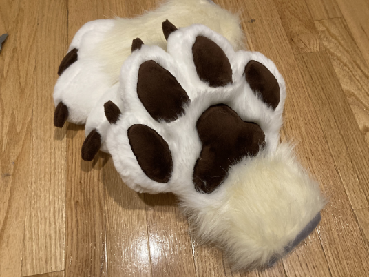 Cream and white paws with brown paw pads
