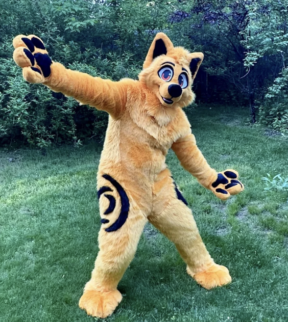 Orange fox fullsuit with shorter fur on the belly/arms and longer fur everywhere else on the body