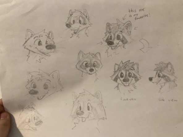 Various toony raccoon head pencil sketches in a variety of styles. One style was expanded into a front view and a side view