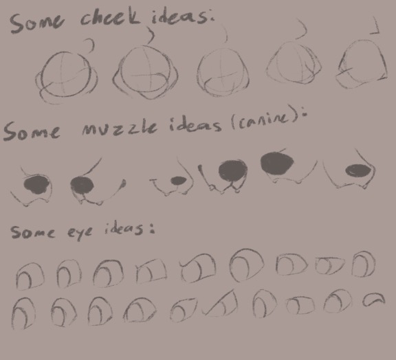 Various cheek, muzzle, and eye sketches