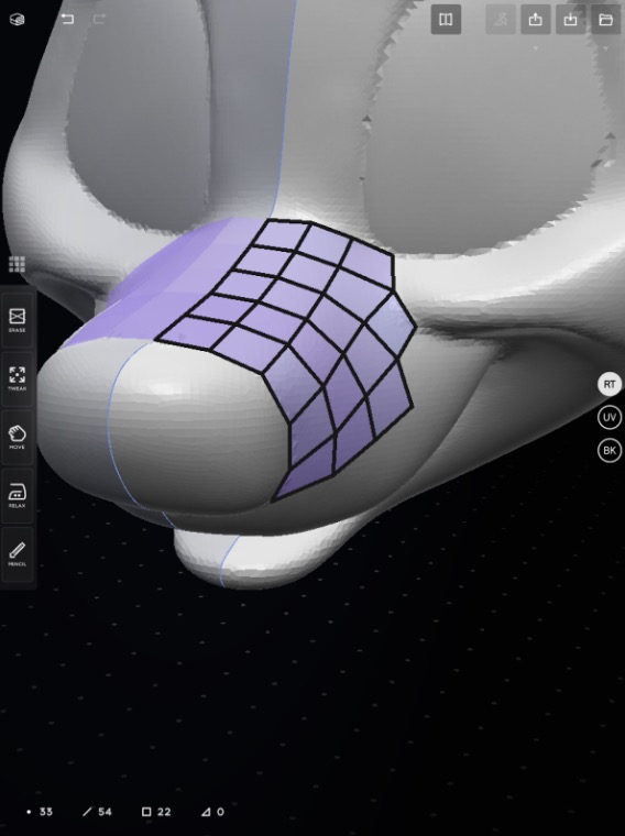 Quadrilateral planes being added to the muzzle. There are 22 of them