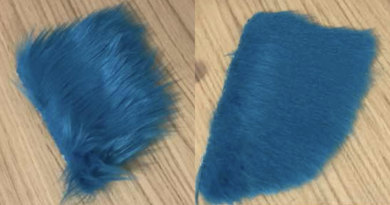 Scrap of unshaved fur on left, preshaved fur scrap on the right